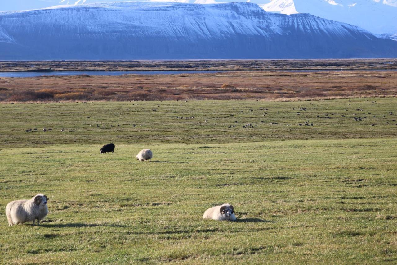 Laxhus Villa Husavik Bagian luar foto